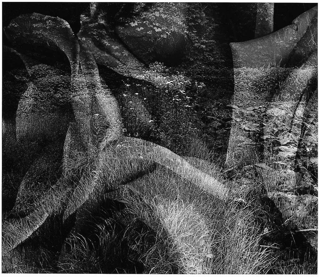 들판시리즈 #003, 1997