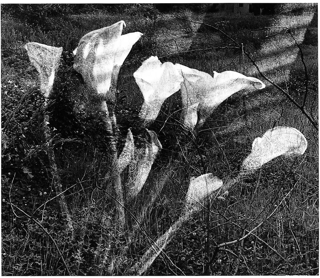 들판시리즈 #004, 1997