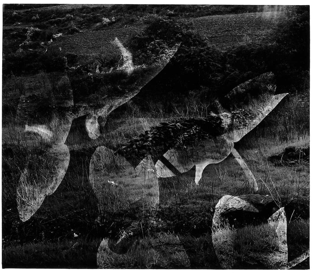 들판시리즈 #005