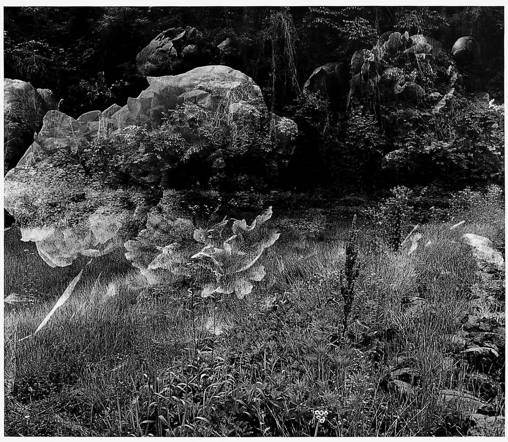 들판시리즈 #007, 1997