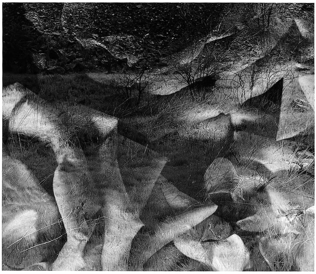 들판시리즈 #009