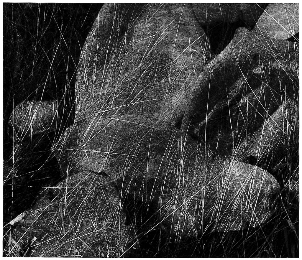 들판시리즈 #014, 1997