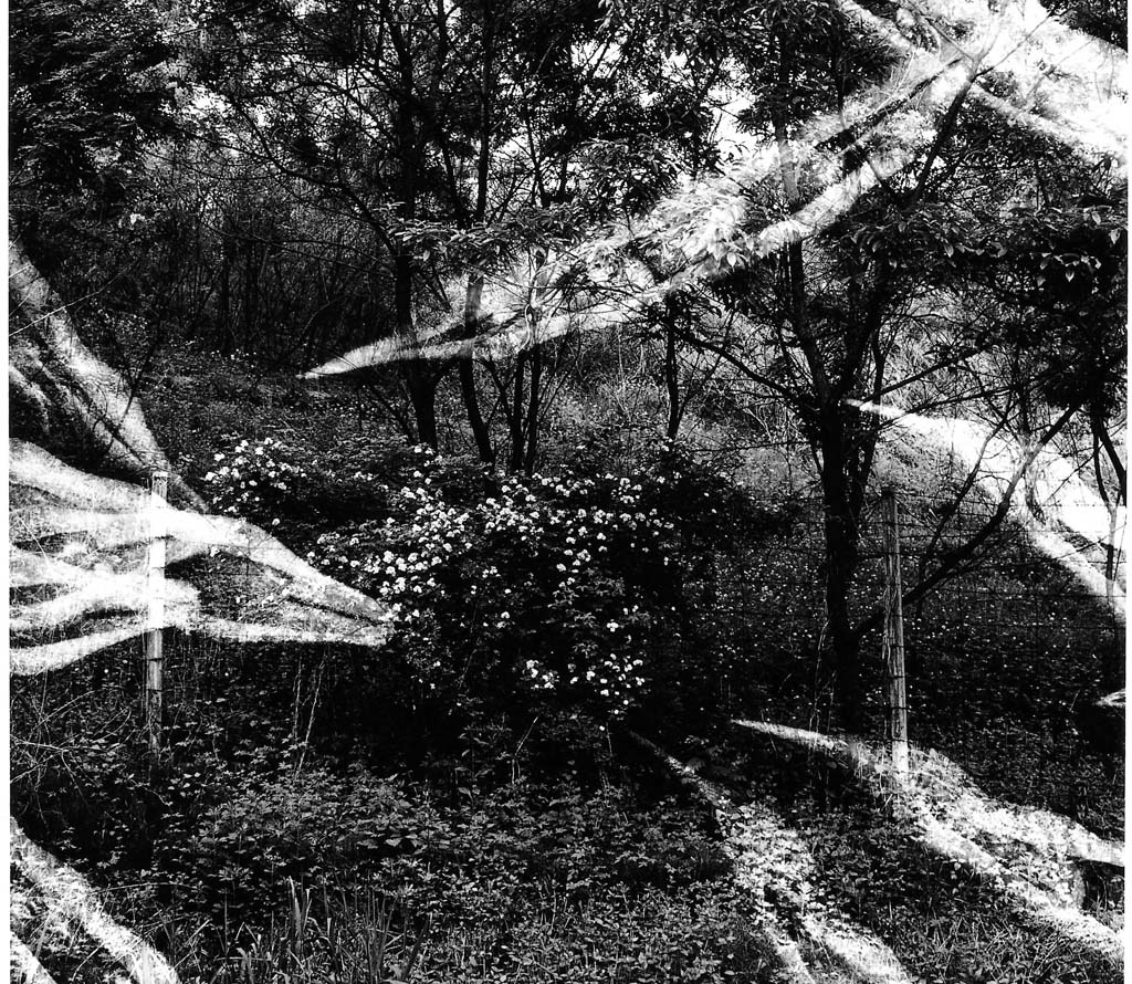 들판시리즈 #022, 1997