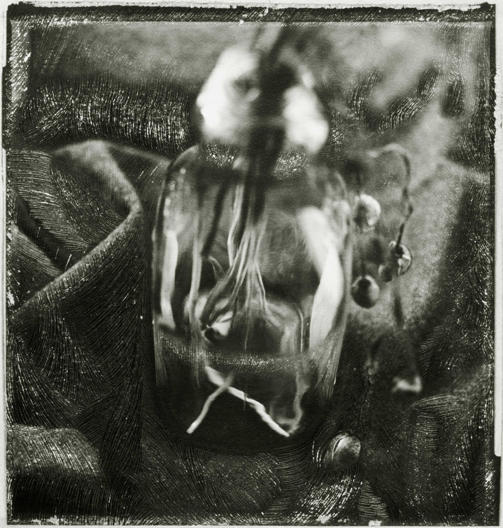 양귀비, 병,  1995