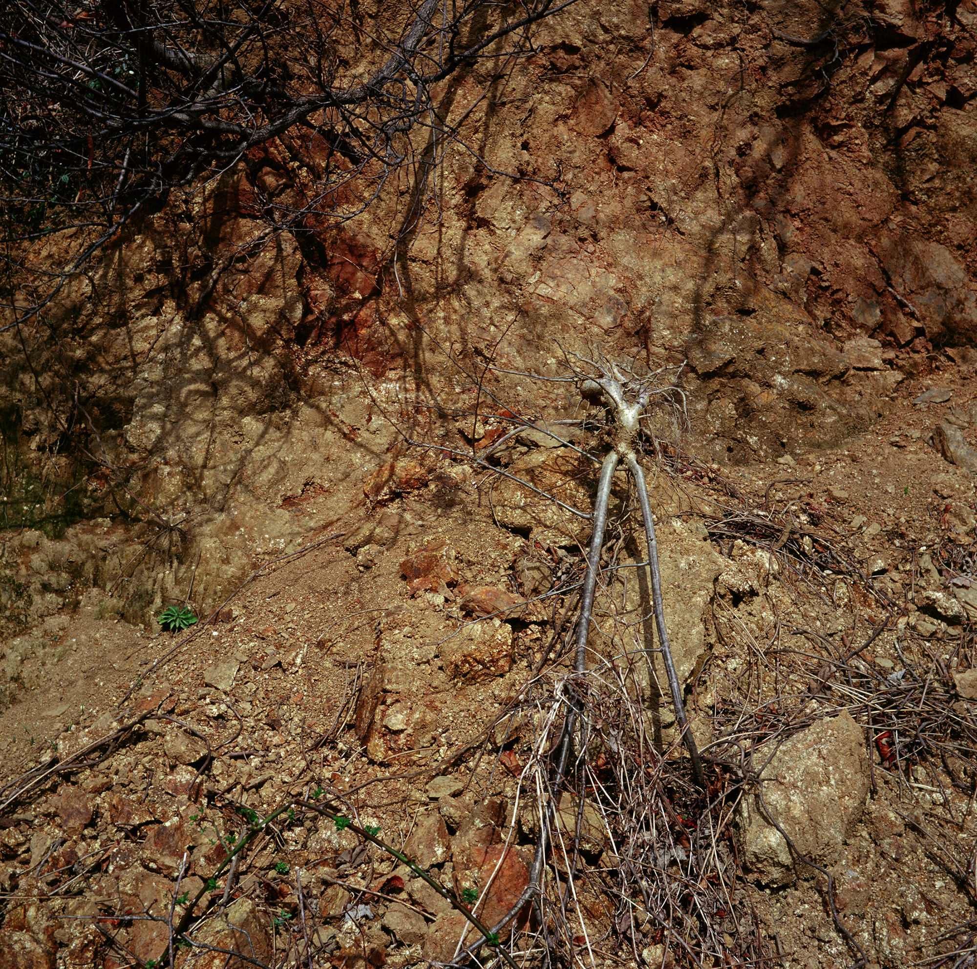 움직이는 산, 智異, 2008 01 (9)