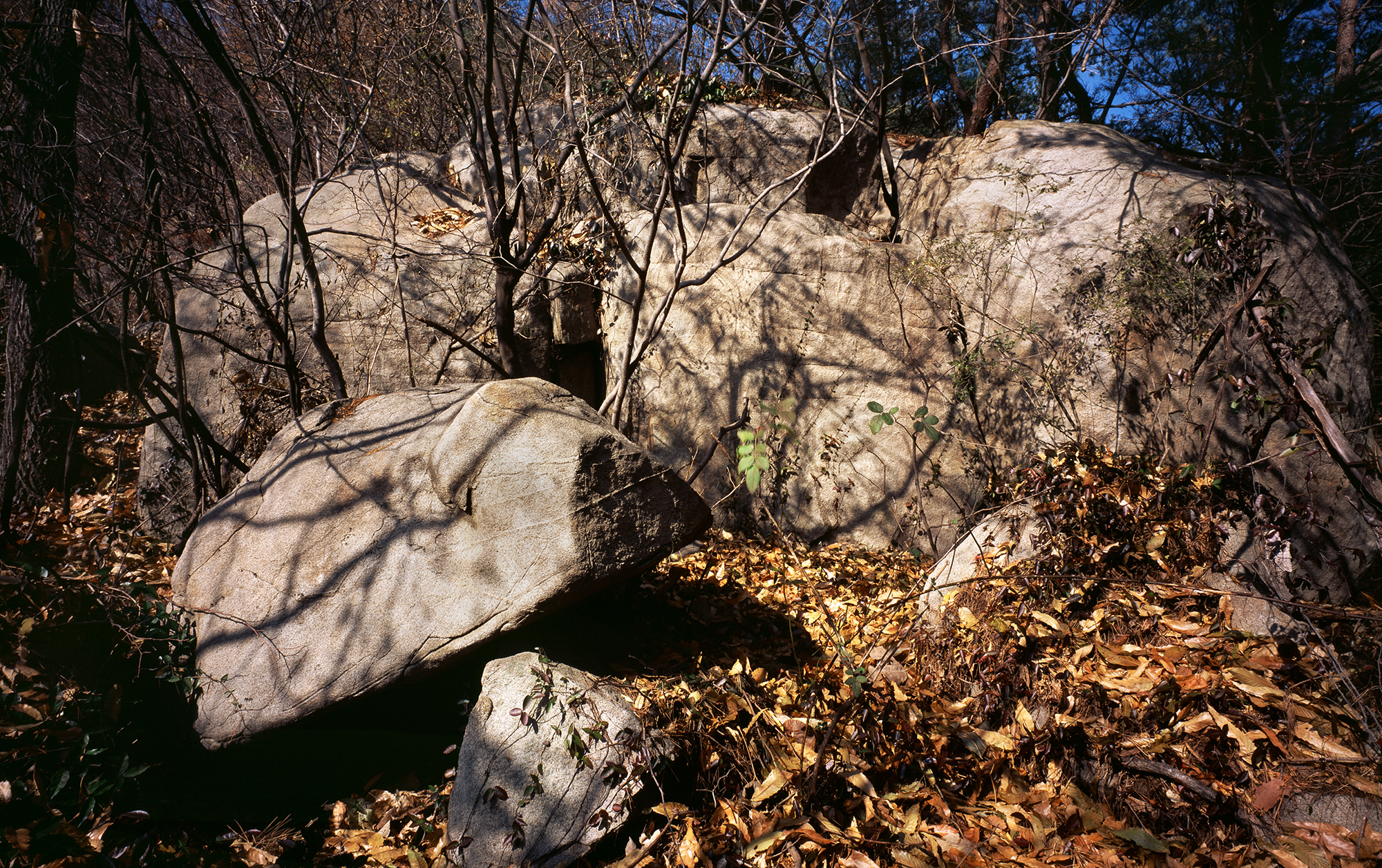 움직이는 산, 智異, 2008 02 (11)