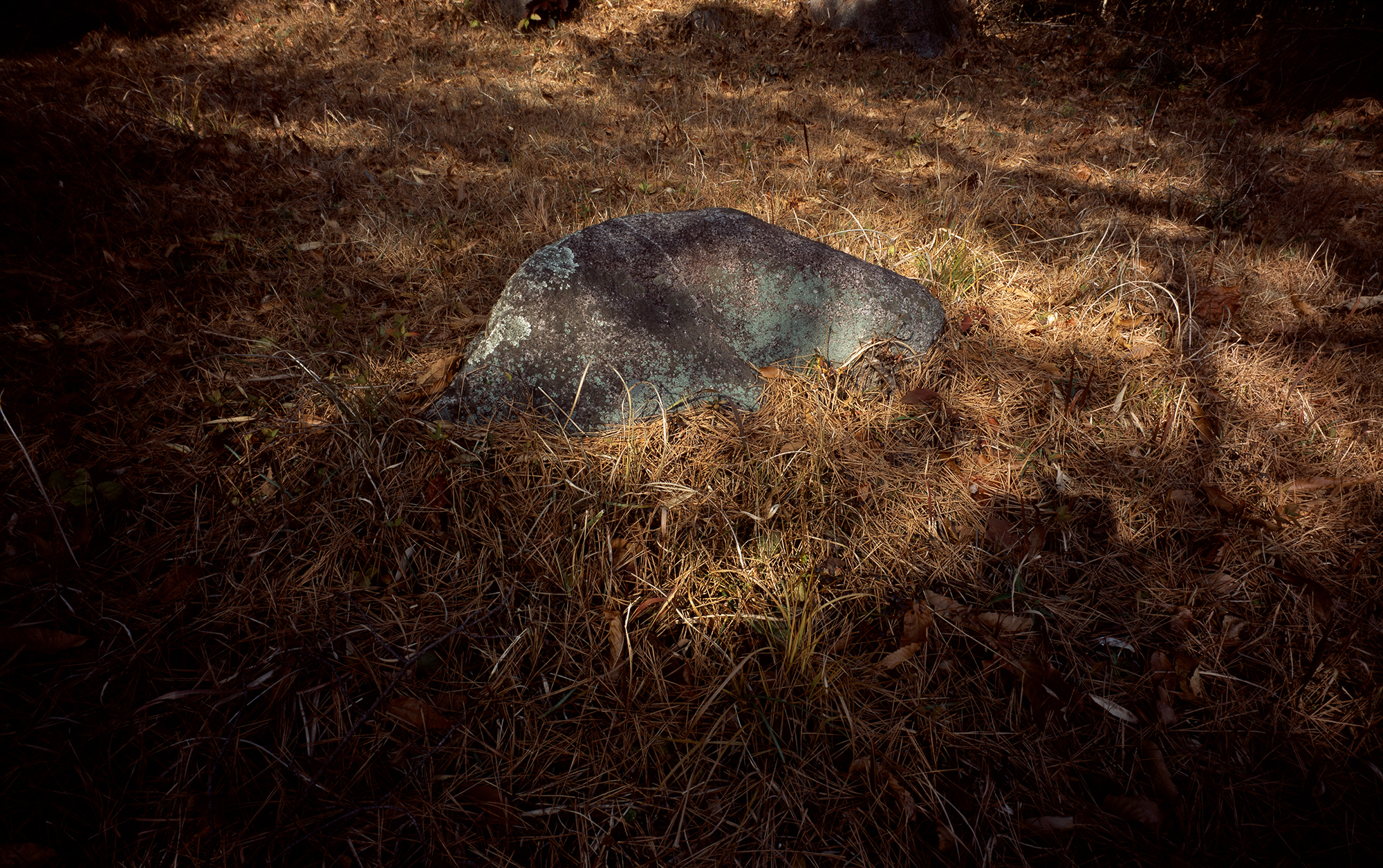 움직이는 산, 智異, 2008 02 (13)