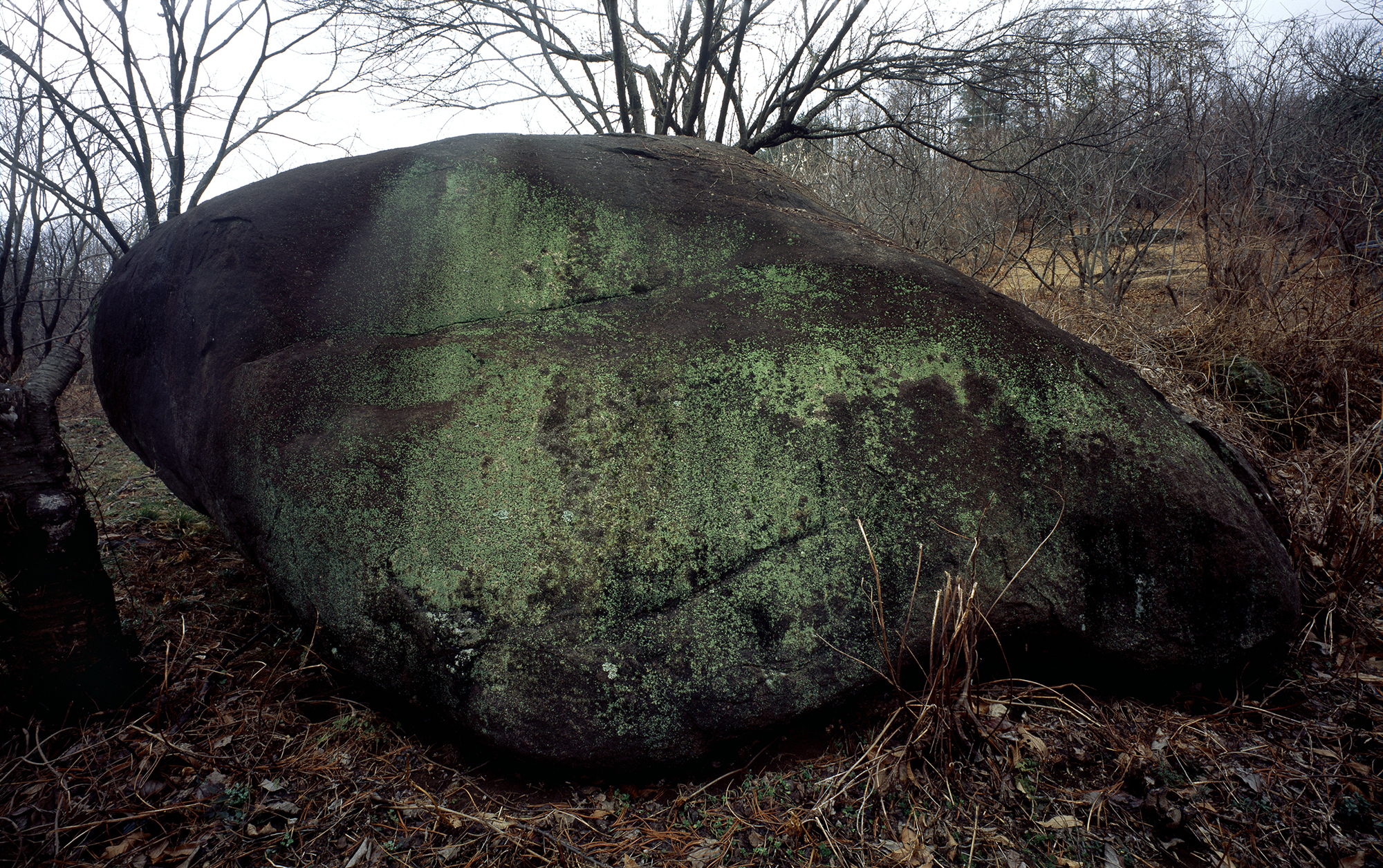 움직이는 산, 智異, 2008 02 (17)