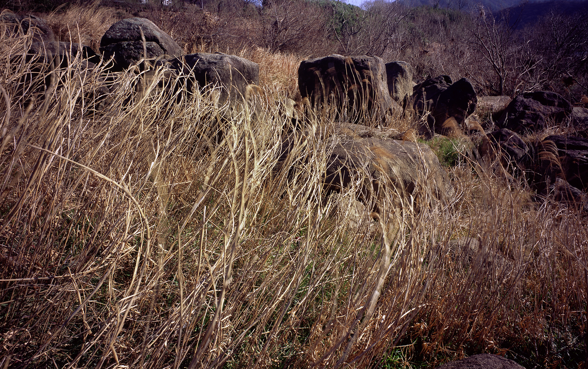 움직이는 산, 智異, 2008 02 (21)
