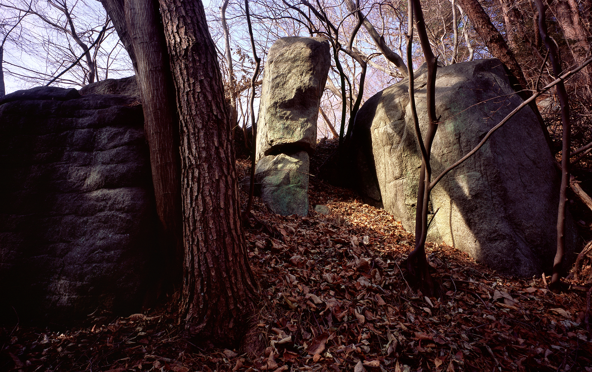 움직이는 산, 智異, 2008 02 (23)