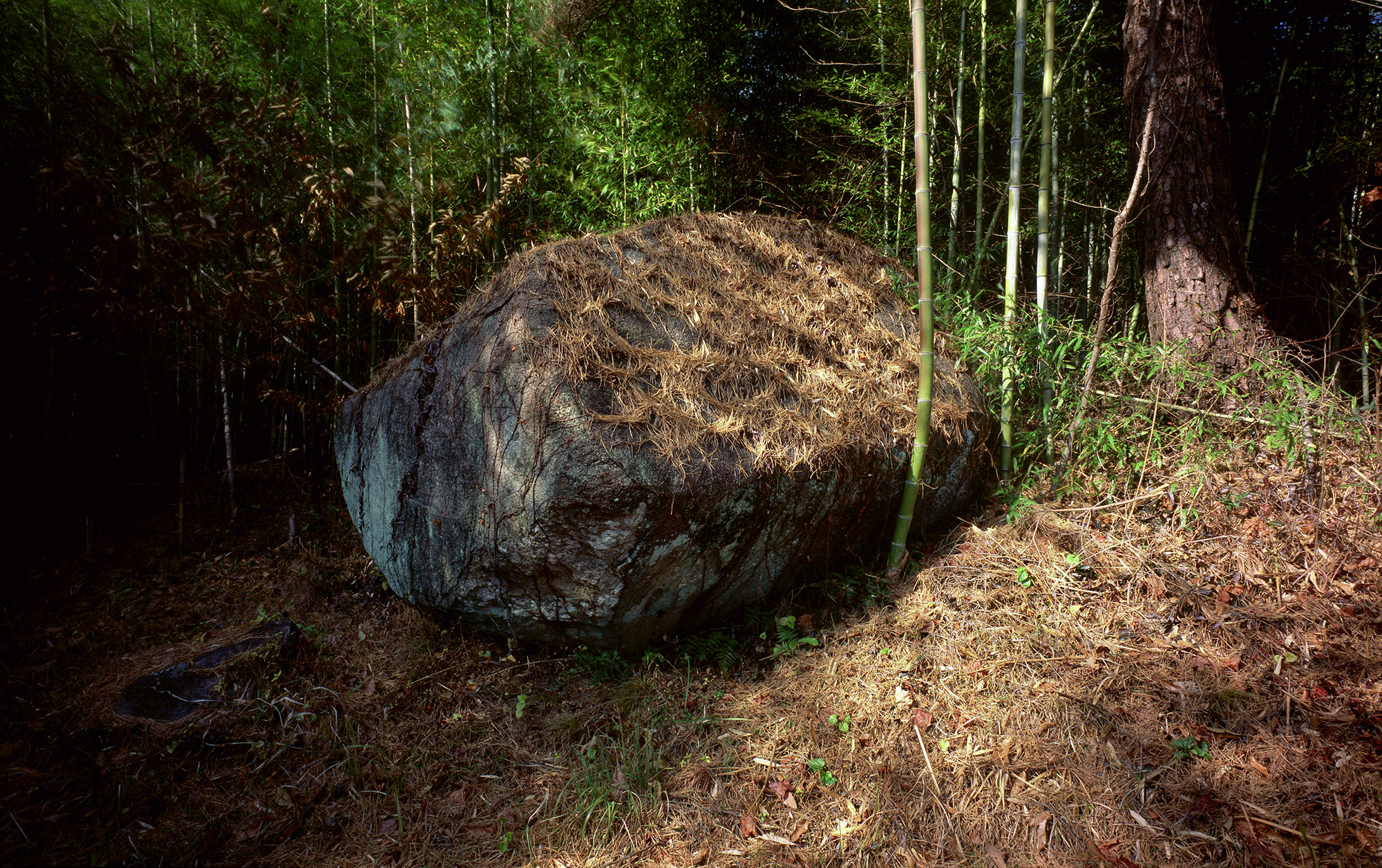 움직이는 산, 智異, 2008 02 (25)