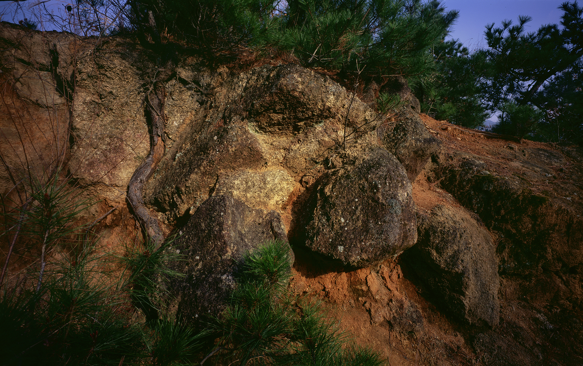움직이는 산, 智異, 2008 02 (27)