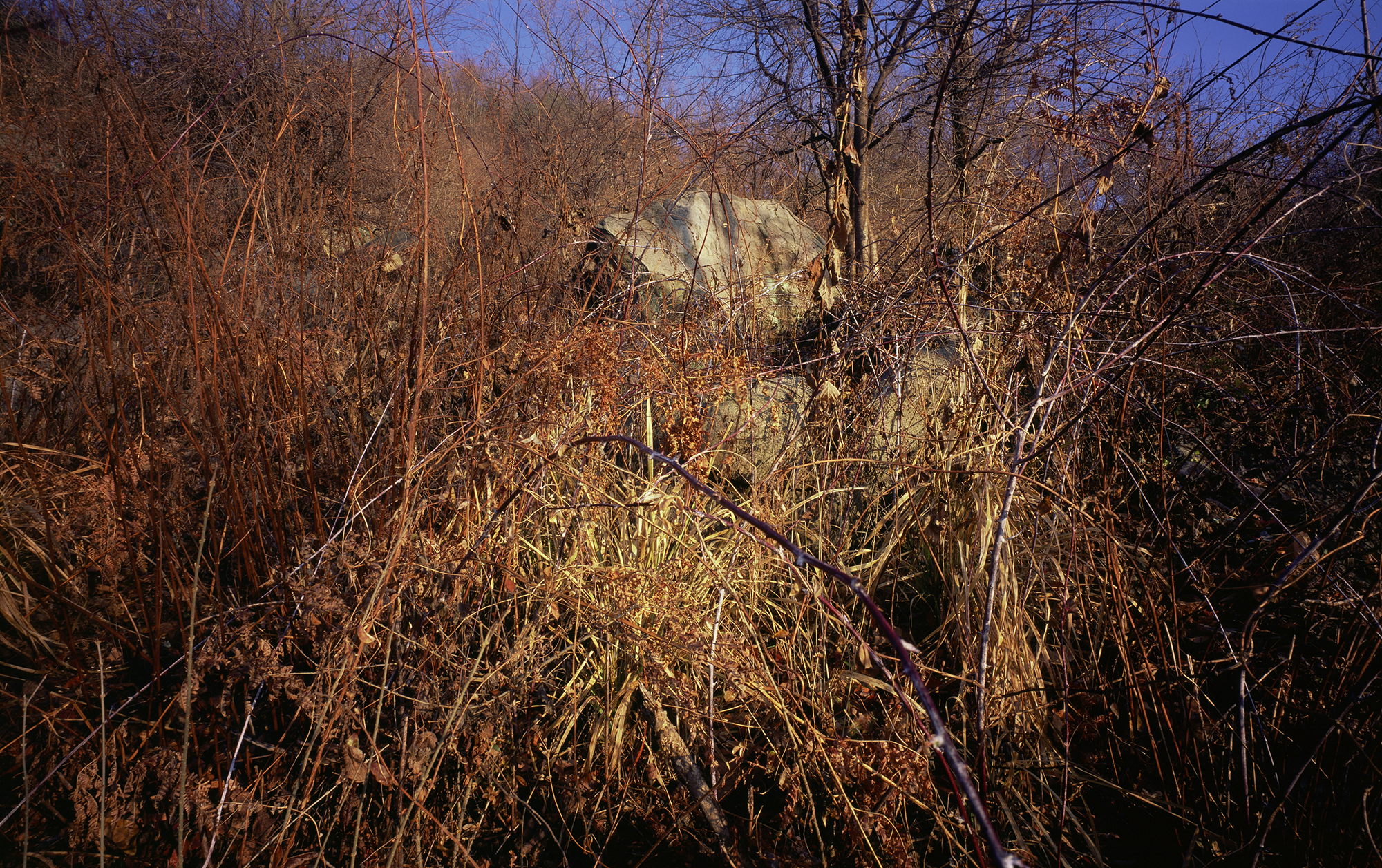 움직이는 산, 智異, 2008 02 (29)