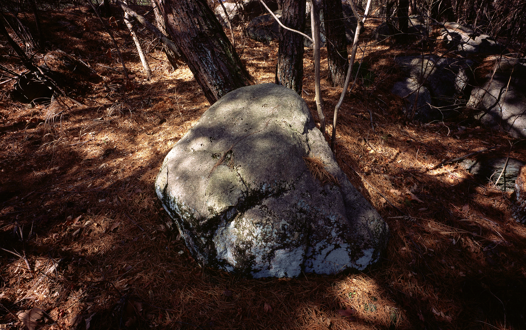 움직이는 산, 智異, 2008 02 (31)