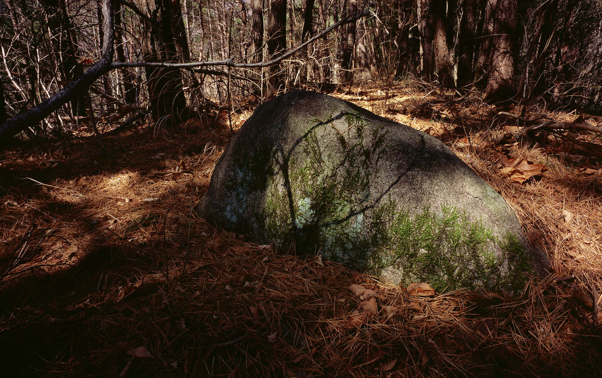 움직이는 산, 智異, 2008 02 (5)