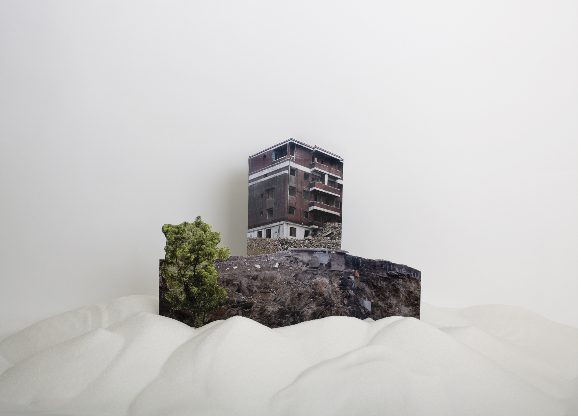 005 Home, A Tree_Archival inkjet print_100x72cm_2012