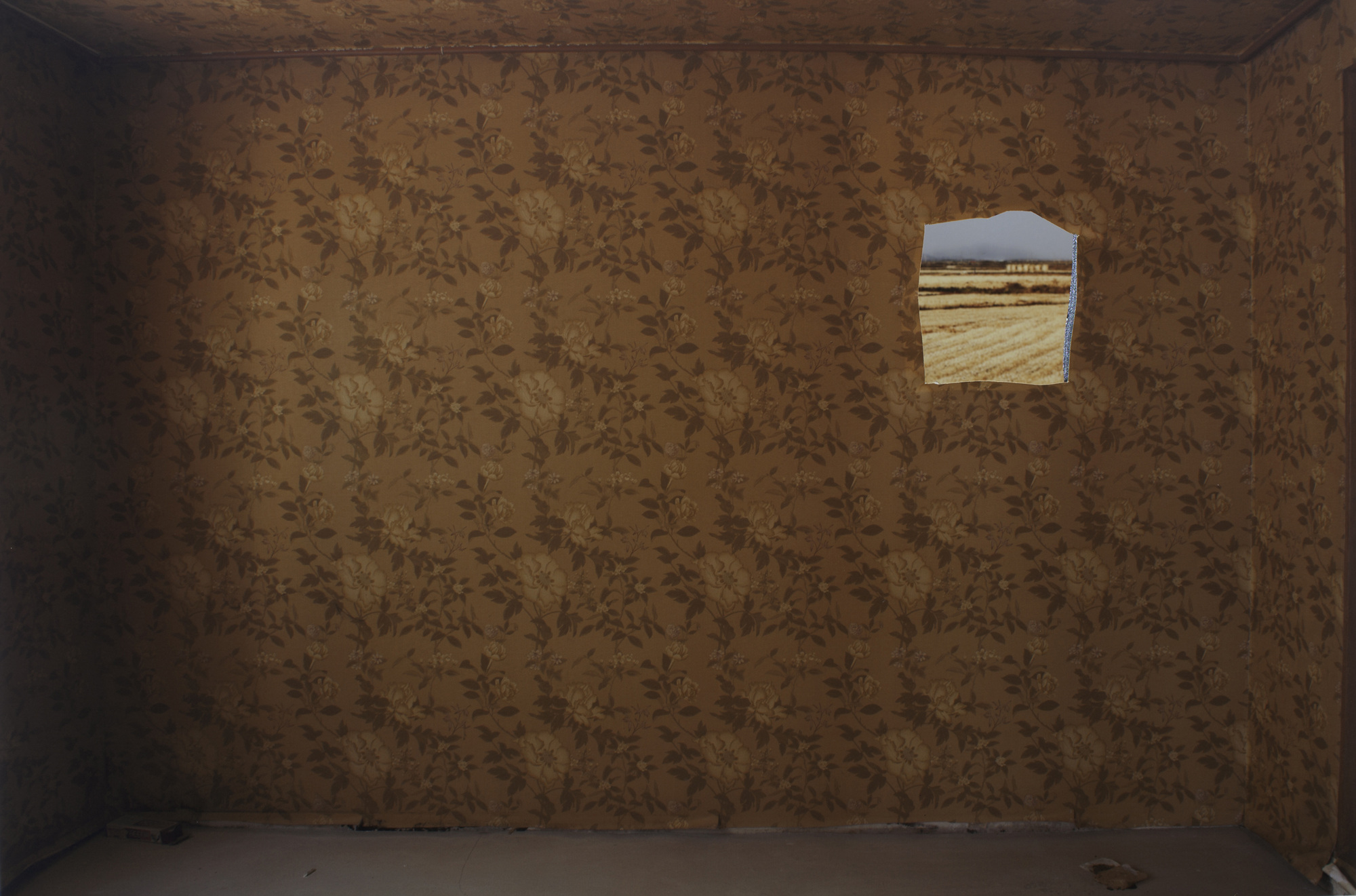 009 Inside007 _Archival inkjet print_35x53cm_2012