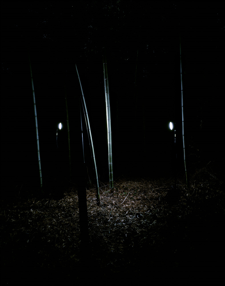 15 대나무 몇 그루(Sticks of Bamboo), lightjet print, 174x142cm, 2010