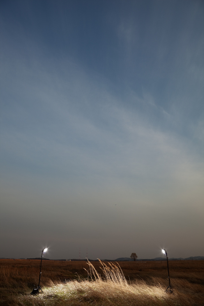 16 갈대 한 무더기