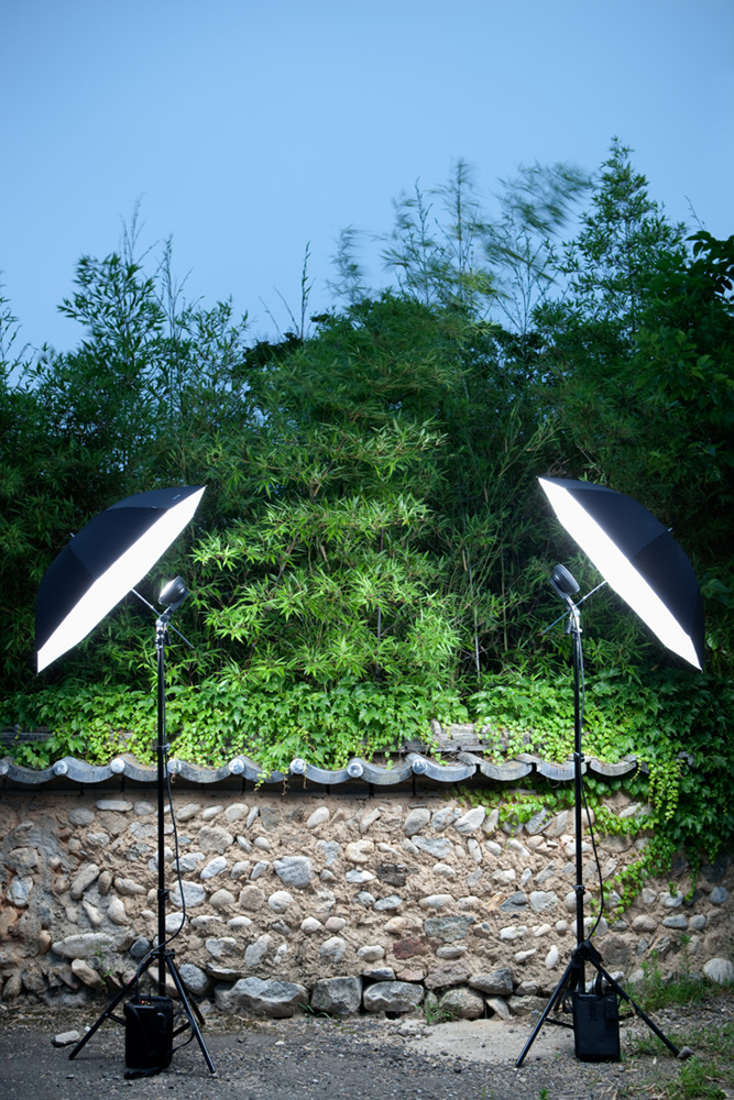 20 담장 뒤 흔들리는 대나무