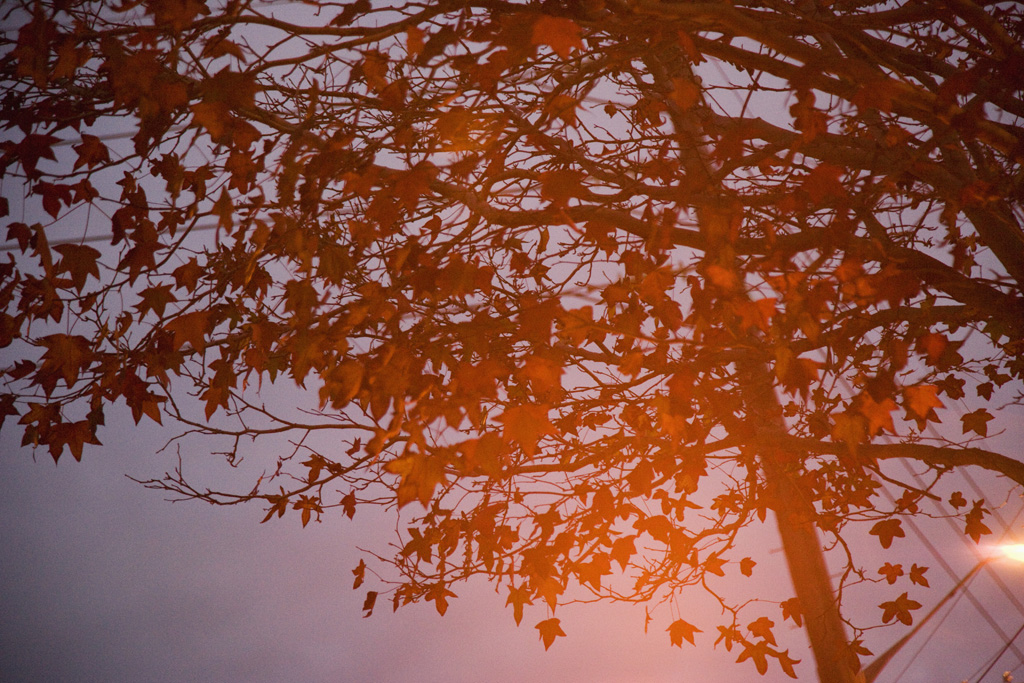 3_The seventh Sense_ pigment print_ 90x60cm _ 2009