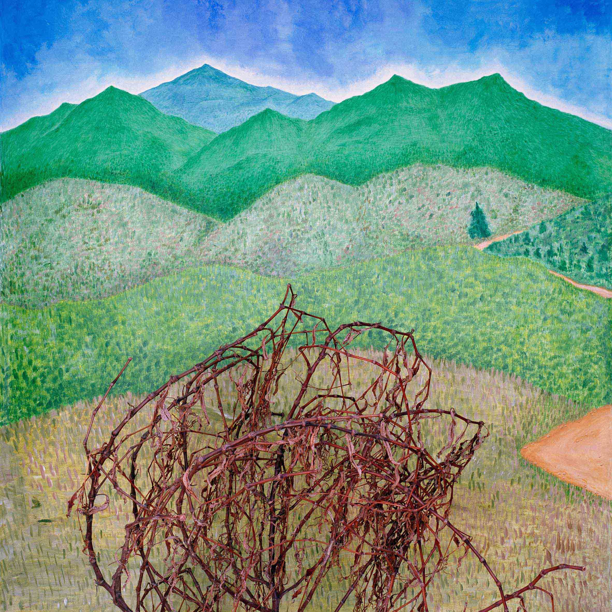 5-1) 생각하는 토끼 시리즈 Thinking Rabbit  #007-1  100x100cm, C-type print,  2012