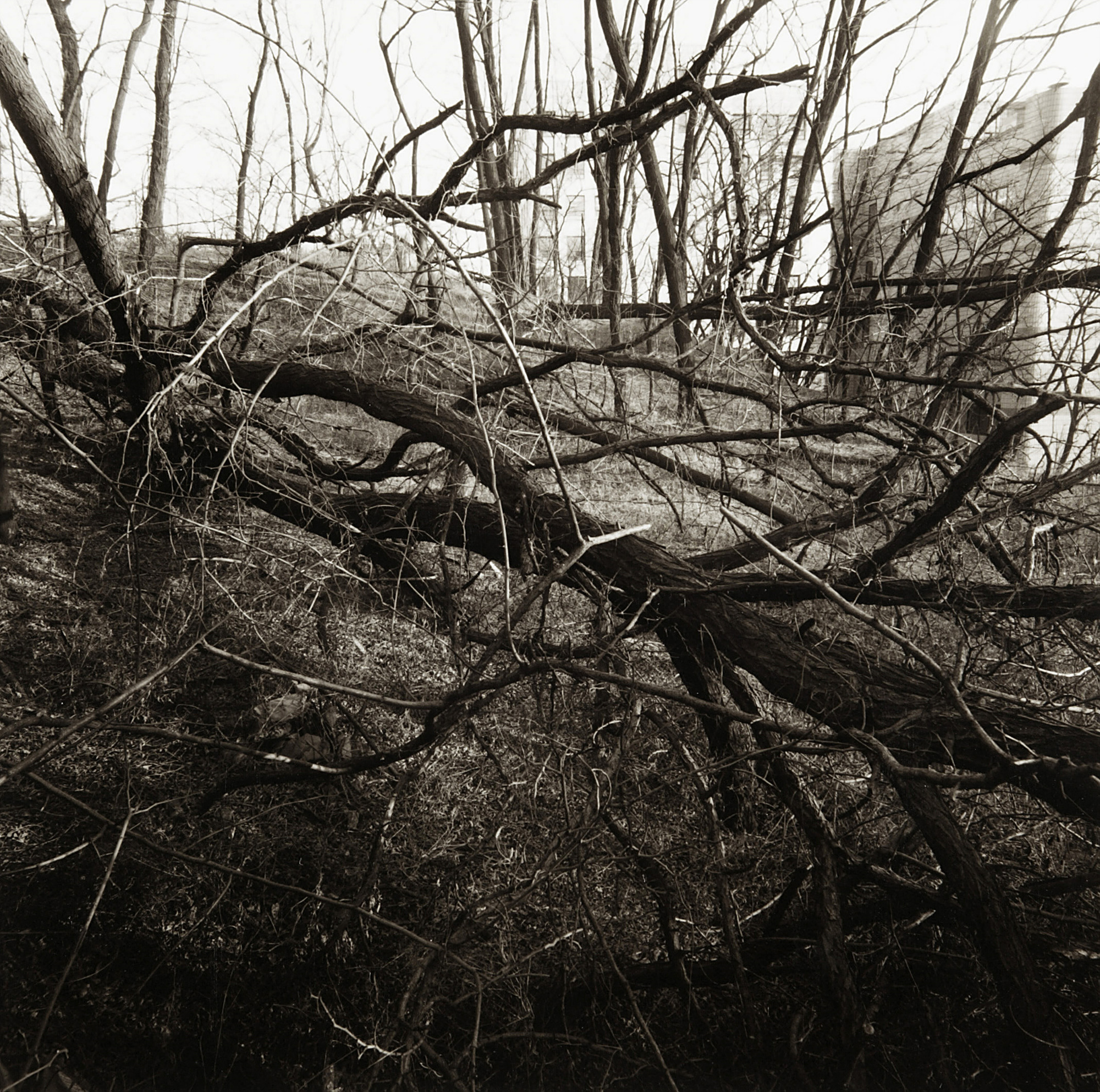 LST02 gelatin silver print 45x45cm wooden framed