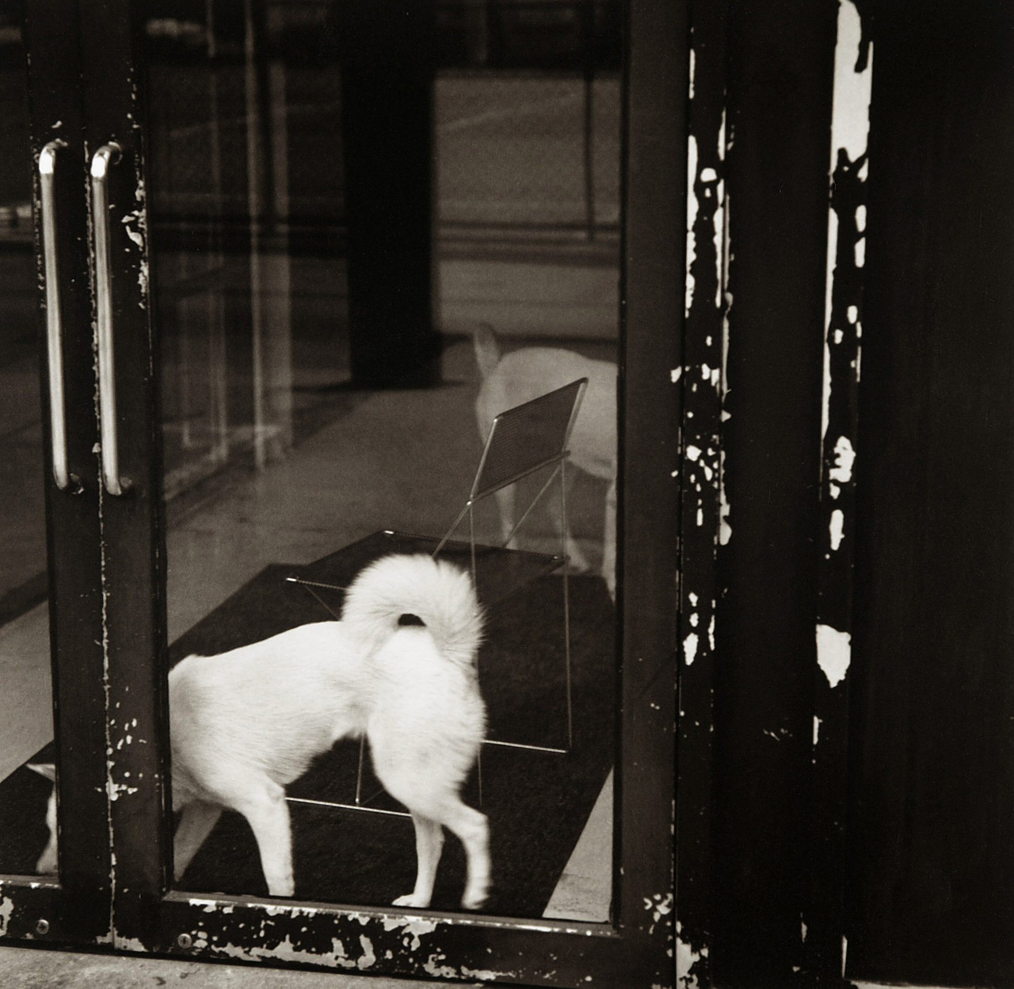 LST03 gelatin silver print 45x45cm wooden framed