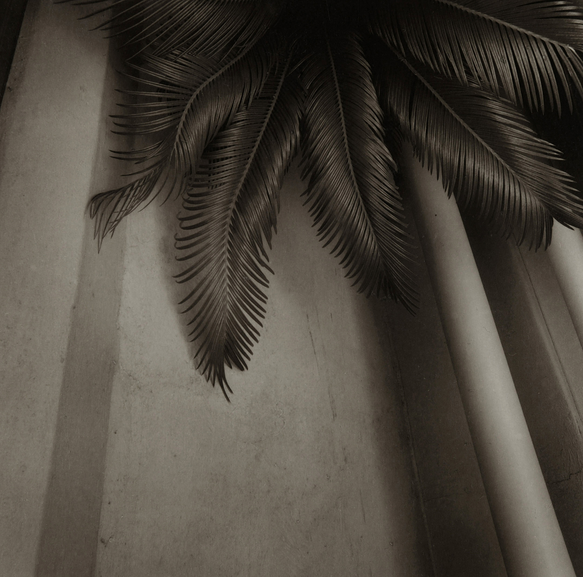 LST05 gelatin silver print 45x45cm wooden framed