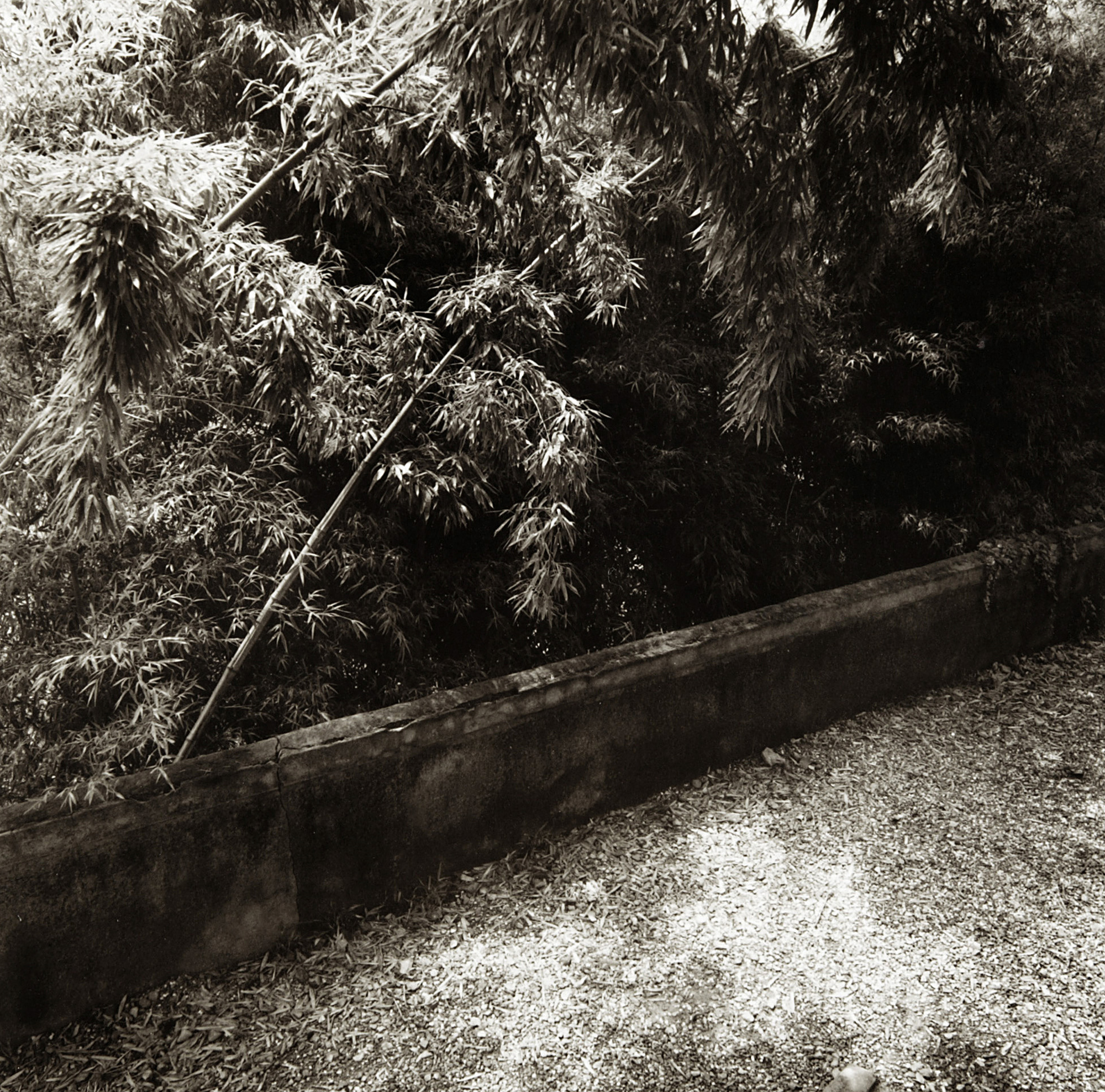 LST06 gelatin silver print 45x45cm wooden framed