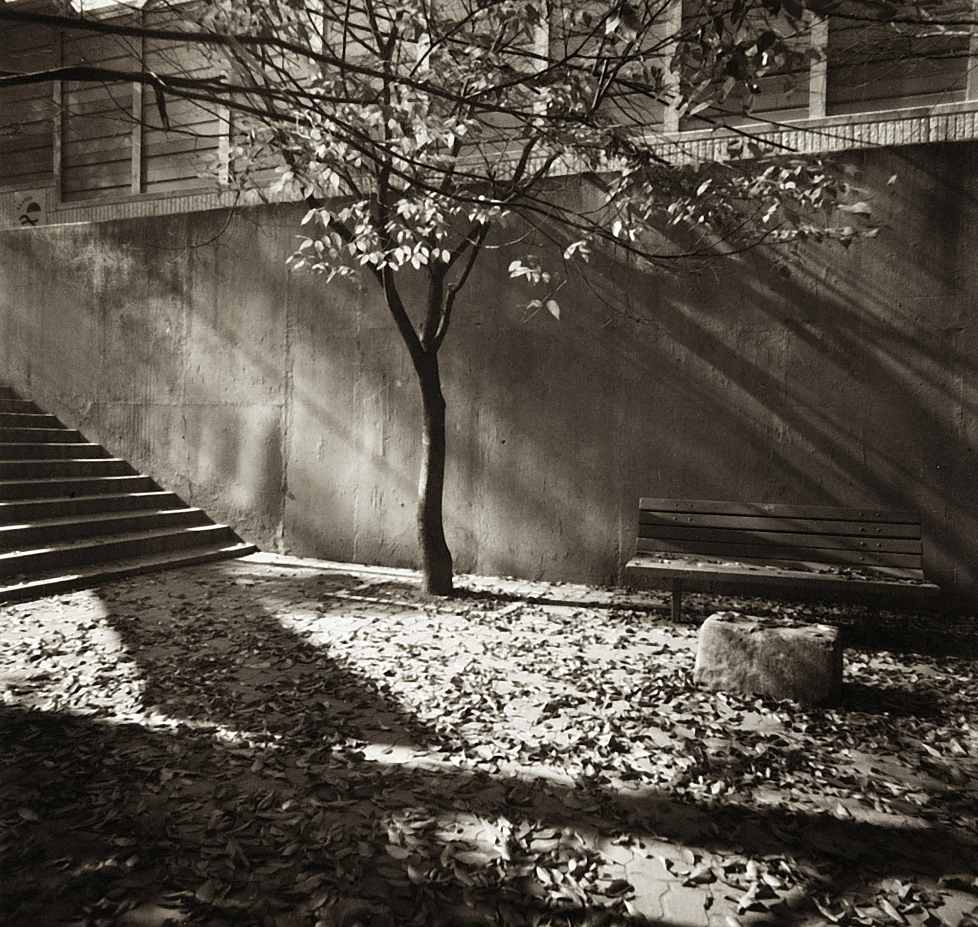 LST13 gelatin silver print 45x45cm wooden framed