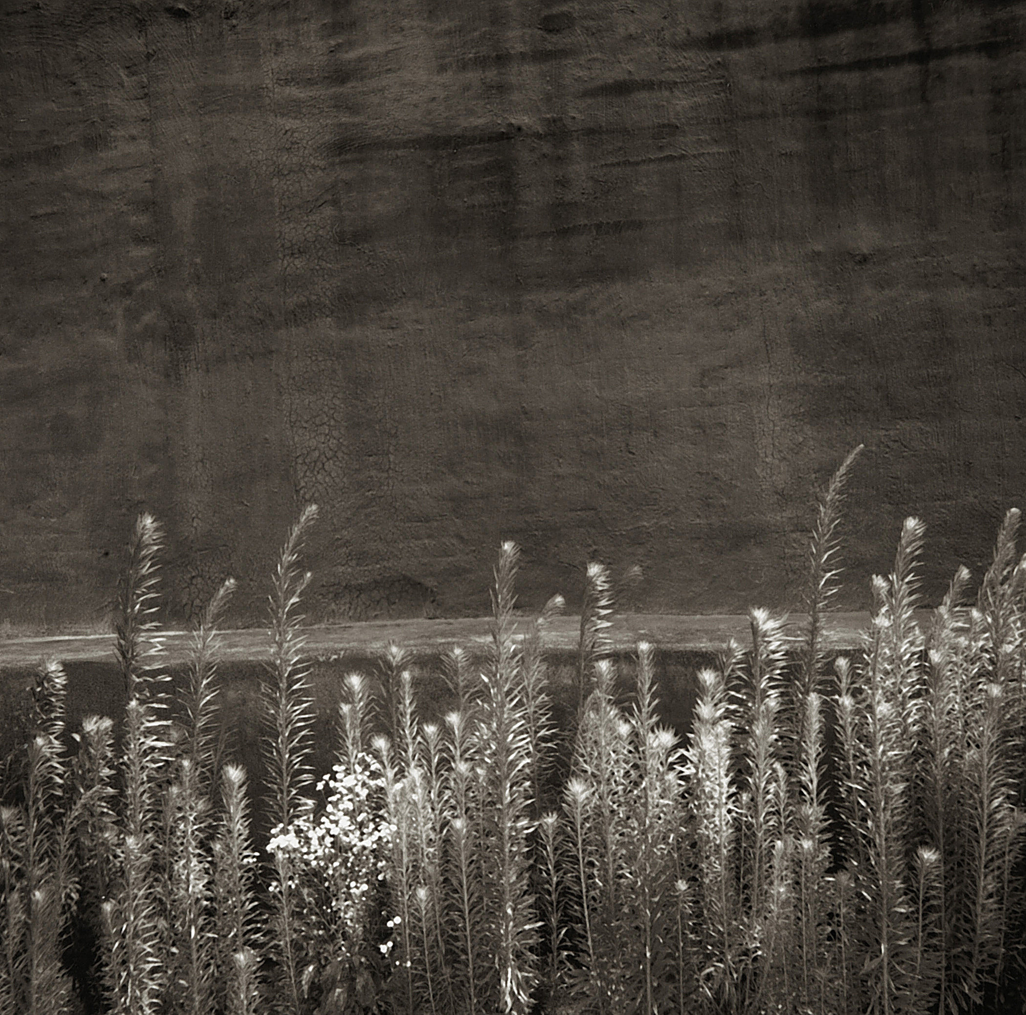 LST14 gelatin silver print 45x45cm wooden framed