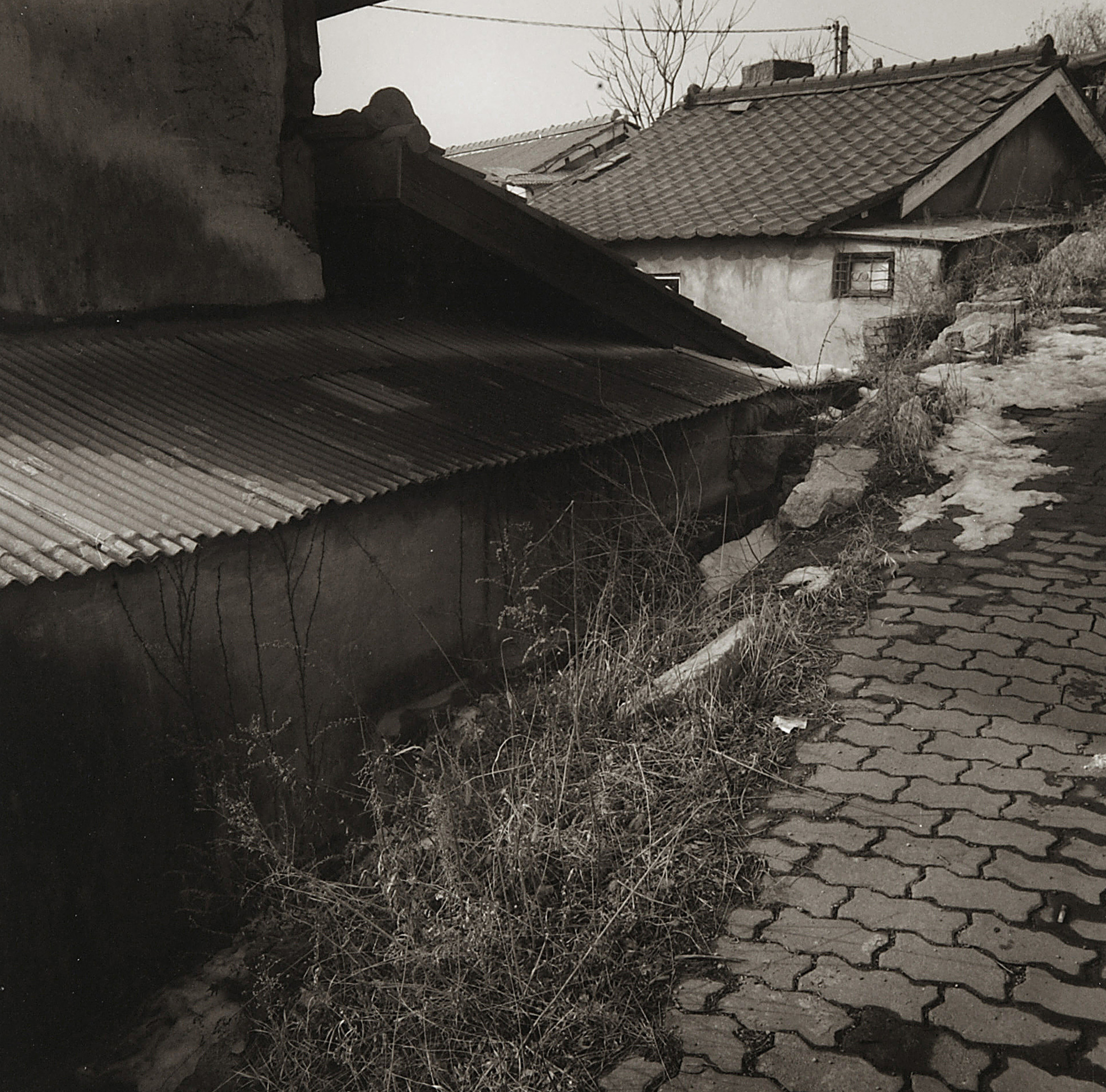 LST23 gelatin silver print 45x45cm wooden framed