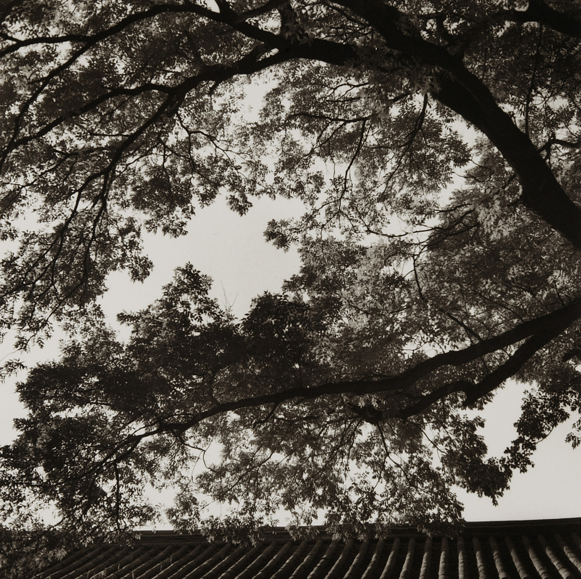 LST32 gelatin silver print 45x45cm wooden framed