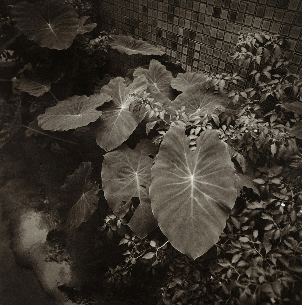 LST38 gelatin silver print 45x45cm wooden framed