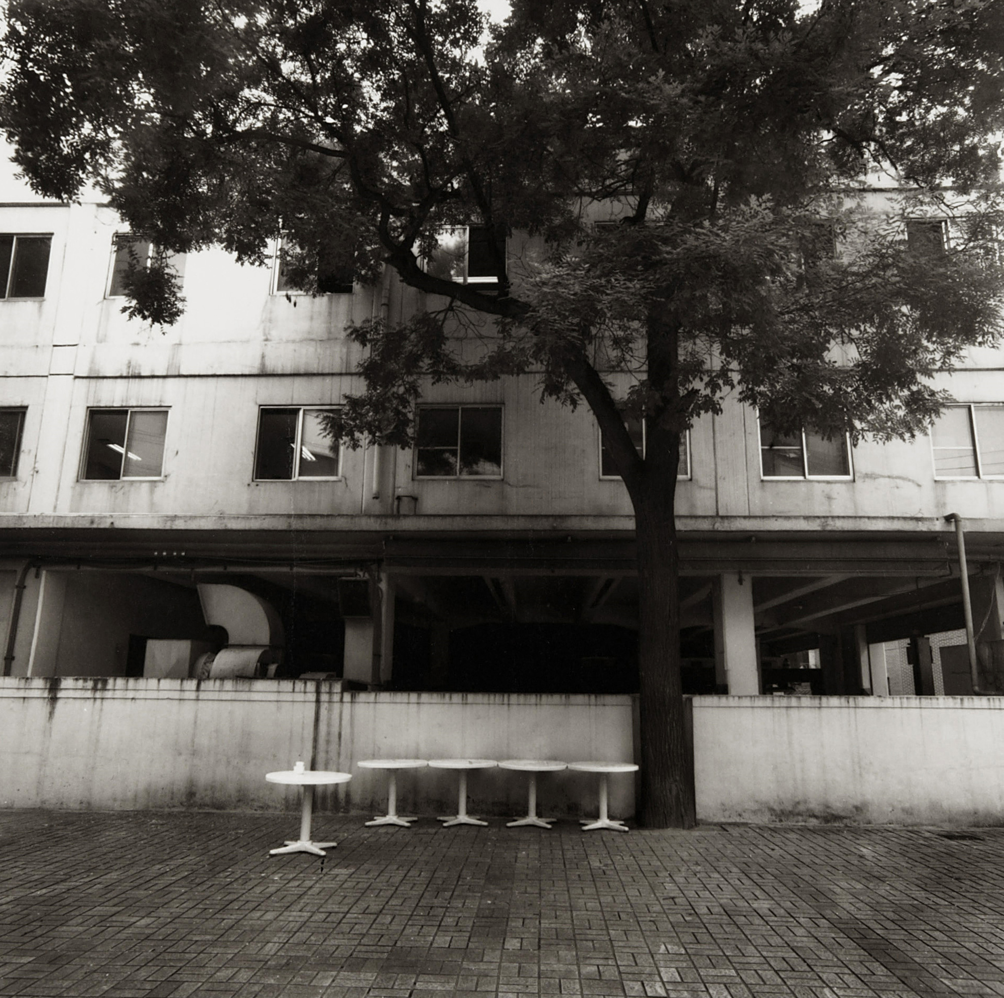 LST39 gelatin silver print 45x45cm wooden framed