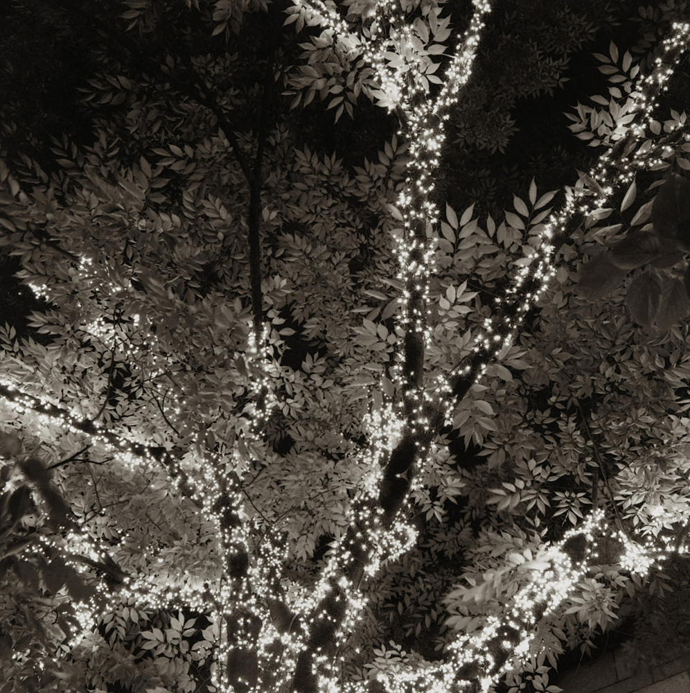 LST40 gelatin silver print 45x45cm wooden framed