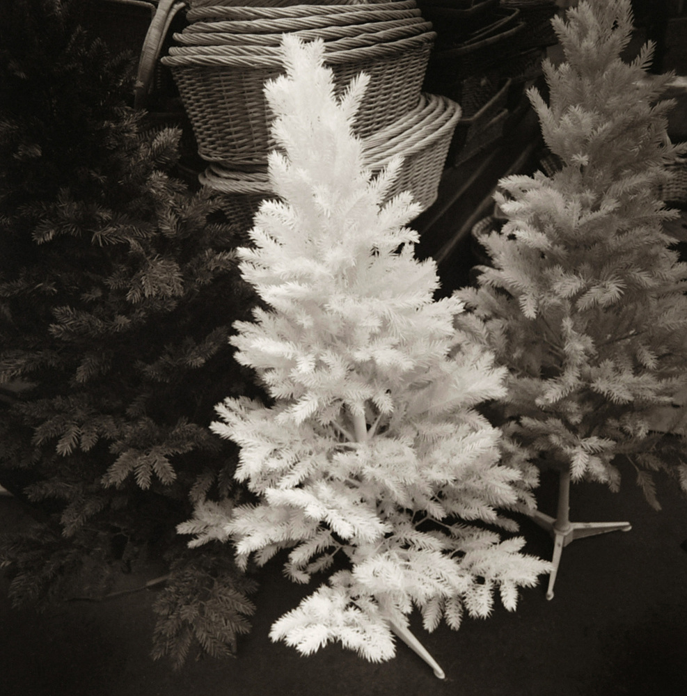 LST43 gelatin silver print 45x45cm wooden framed