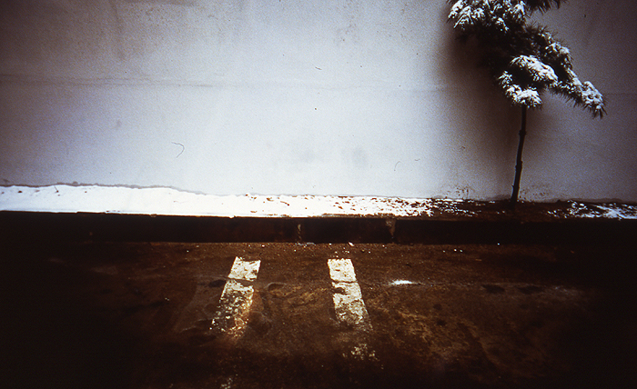 MMS 02cibacromprlnt 40x60cm