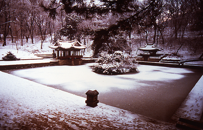 MMS 03cibacromprlnt 40x60cm