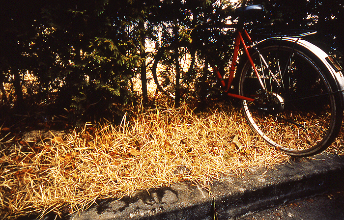 MMS 07cibacromprlnt 40x60cm