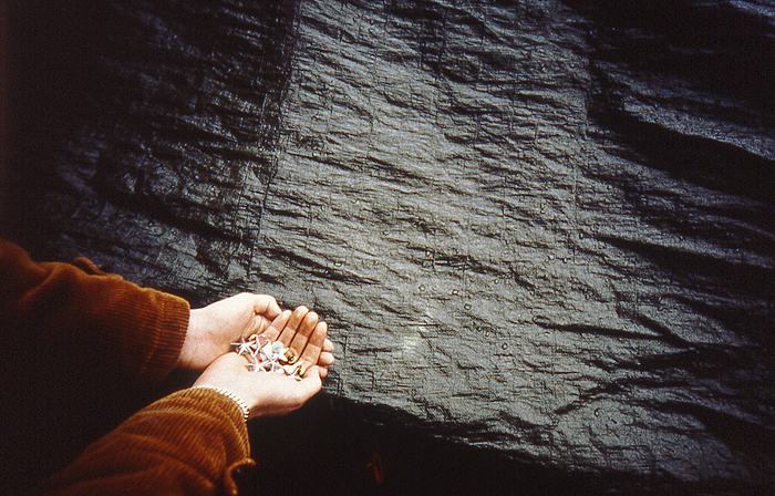 MMS 08cibacromprlnt 40x60cm