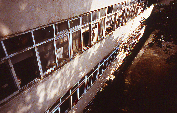 MMS 16cibacromprlnt 40x60cm