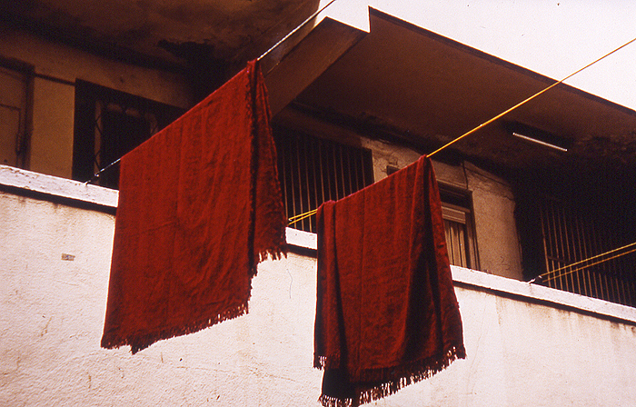 MMS 19cibacromprlnt 40x60cm