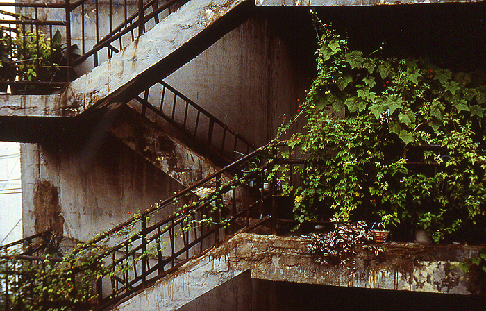 MMS 21cibacromprlnt 40x60cm