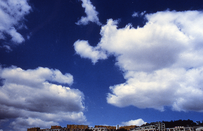 MMS 23cibacromprlnt 40x60cm