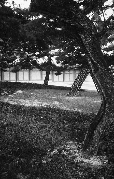 RAW01 gelatin silver print 30x20cm wooden framed