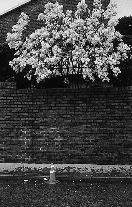 RAW02 gelatin silver print 30x20cm wooden framed