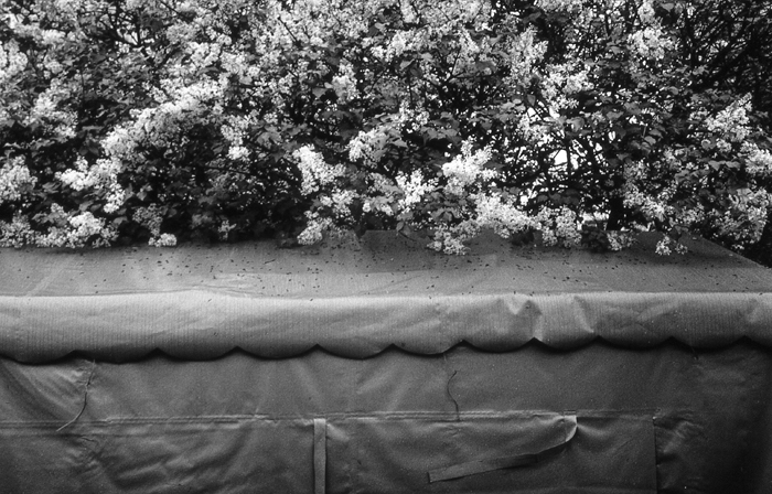 RAW03 gelatin silver print 20x30cm wooden framed