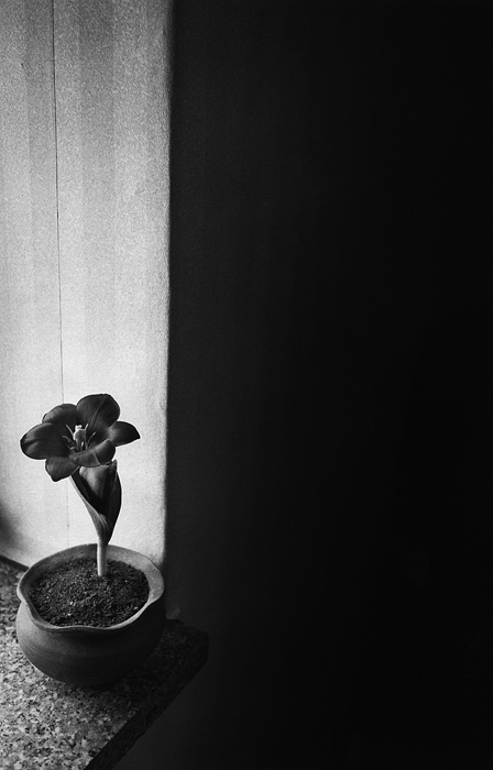 RAW11 gelatin silver print 20x30cm wooden framed